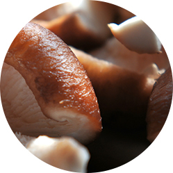 山(shān)東雲德(dé)食品